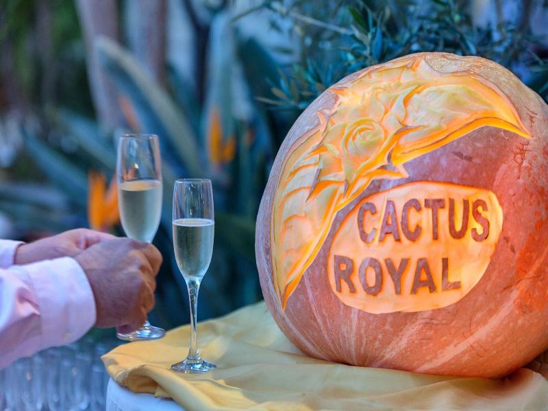 Cactus Royal image