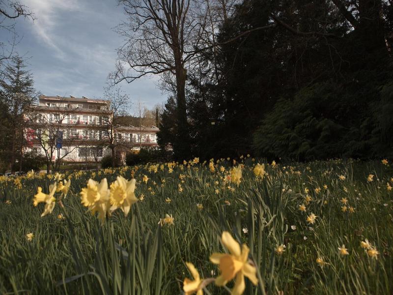Balance-Hotel am Blauenwald image