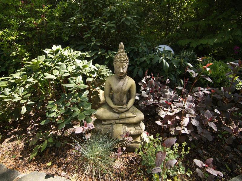 Balance-Hotel am Blauenwald image