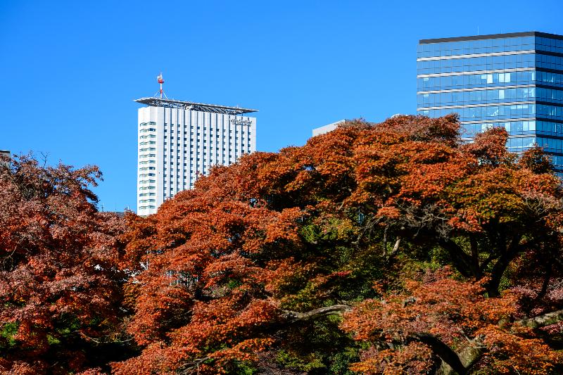 Stay in style at Hotel Century Southern Tower