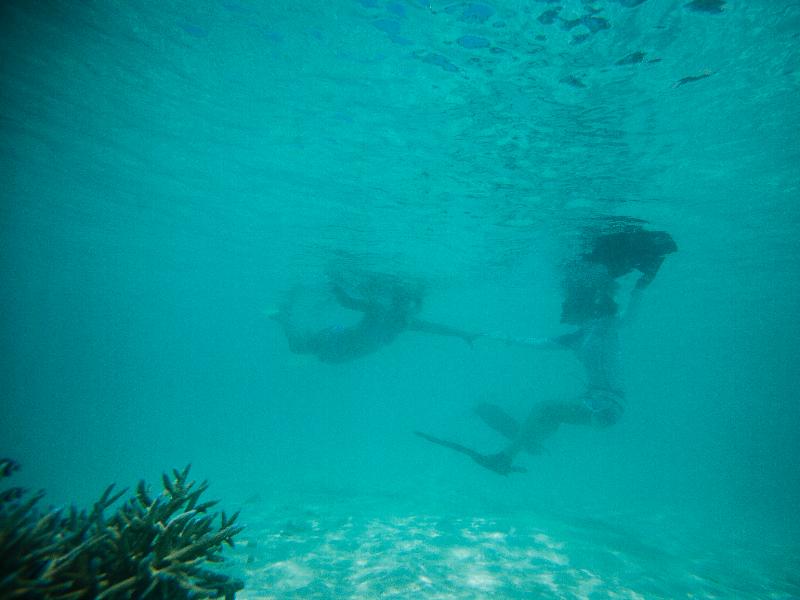 Taj Coral Reef Resort & Spa