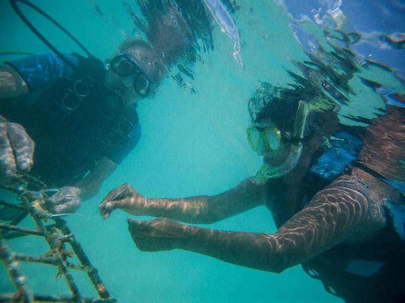 Taj Coral Reef Resort & Spa