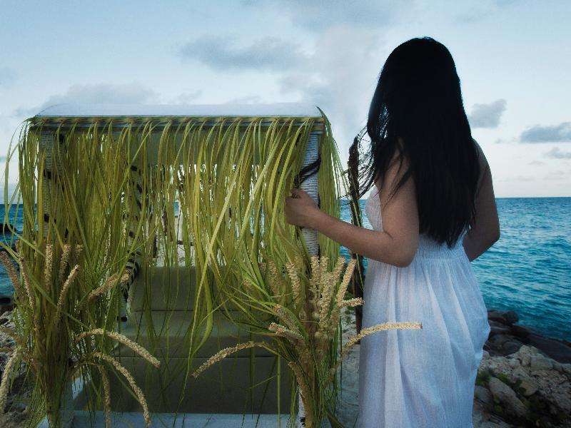Taj Coral Reef Resort & Spa
