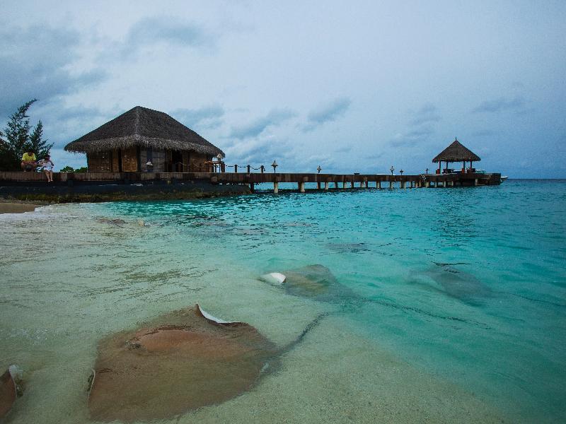 Taj Coral Reef Resort & Spa