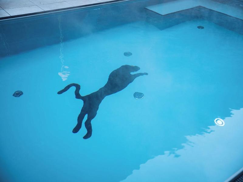 Hotel Panther'A image