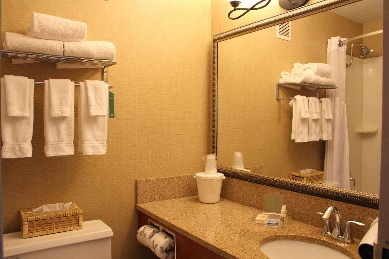 Holiday Inn Bozeman image