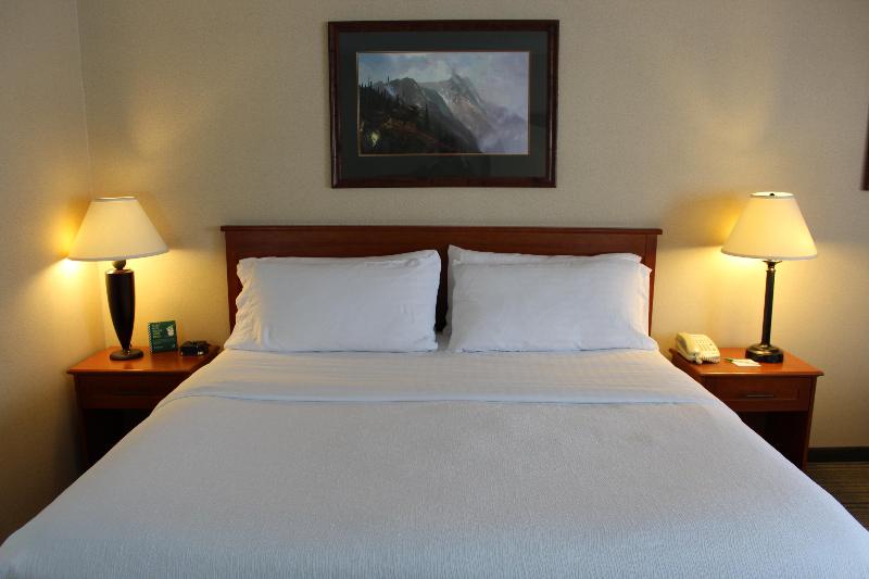 Holiday Inn Bozeman image