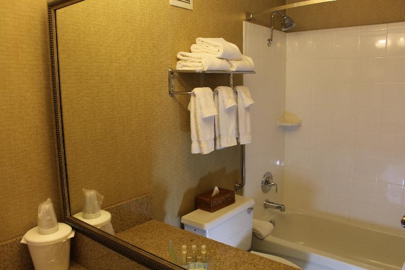 Holiday Inn Bozeman image