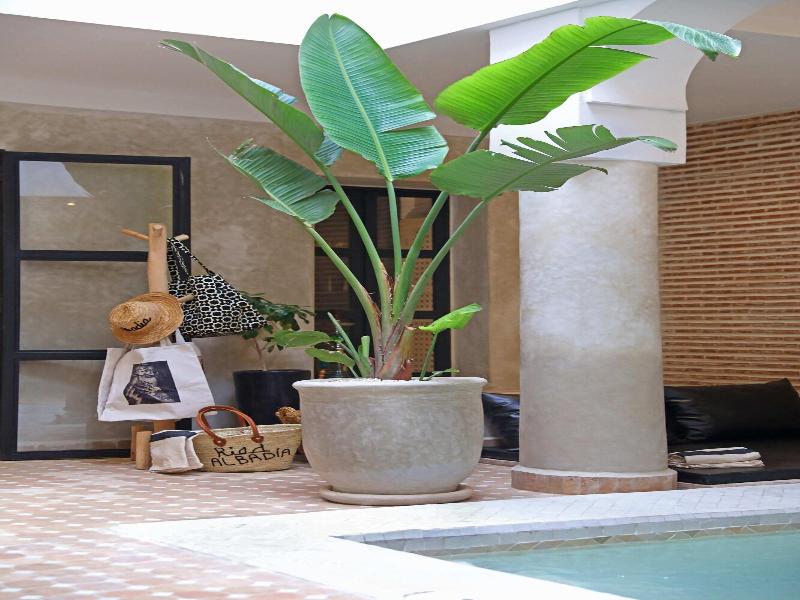 Riad Al Badia image