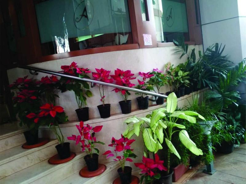 Treebo Archana Residency image
