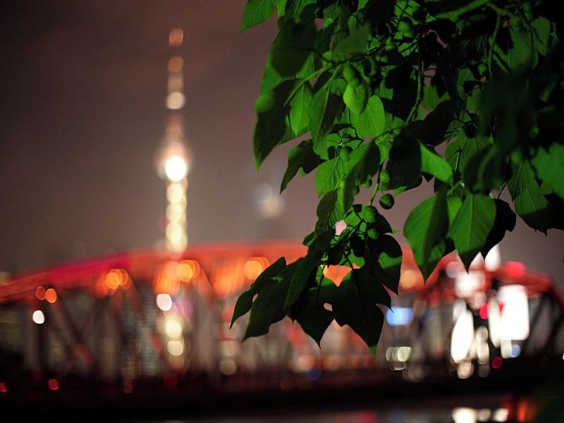 Renaissance Shanghai Putuo Hotel image