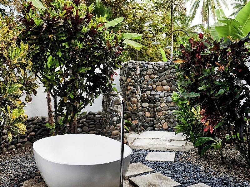 Westin Denarau Island Resort & Spa image