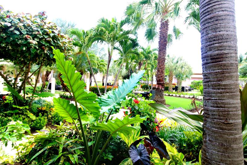 Holiday Inn Resort Grand Cayman  image