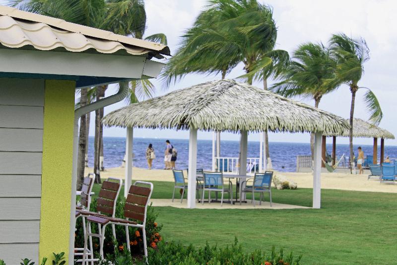 Holiday Inn Resort Grand Cayman  image