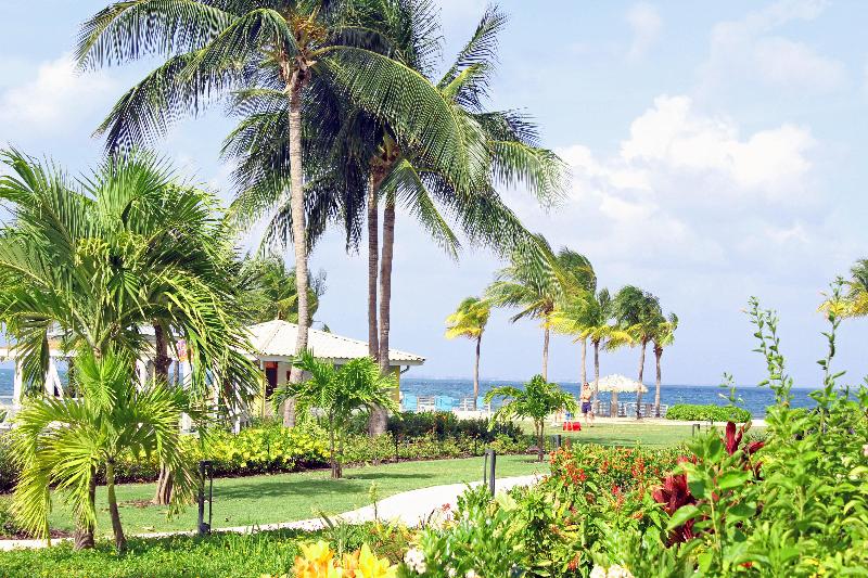 Holiday Inn Resort Grand Cayman  image