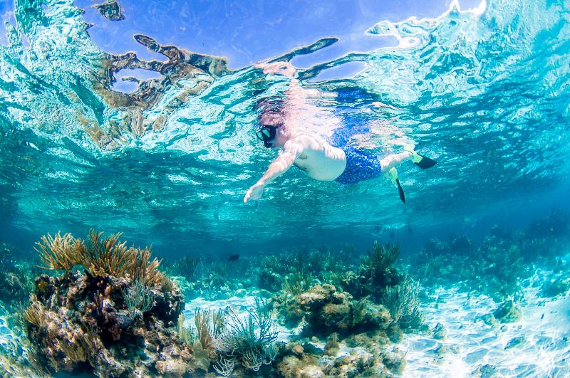 Holiday Inn Resort Grand Cayman  image