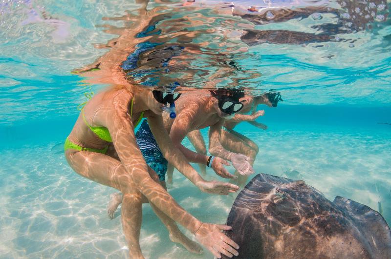 Holiday Inn Resort Grand Cayman  image