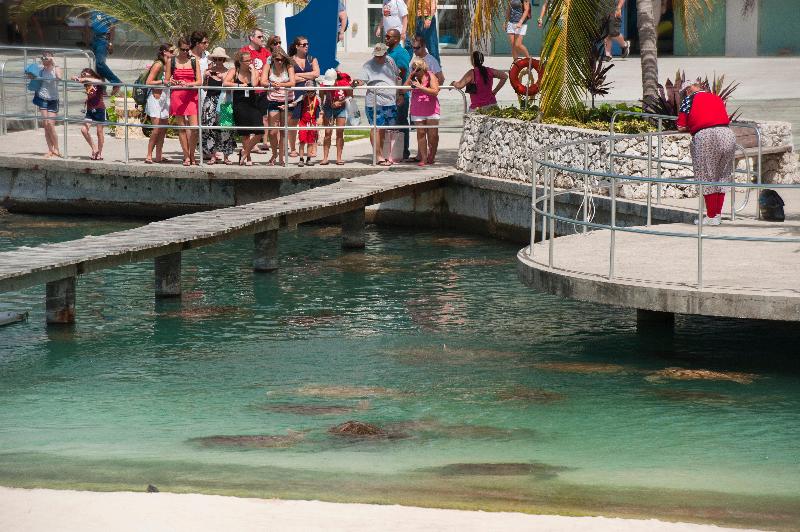 Holiday Inn Resort Grand Cayman  image