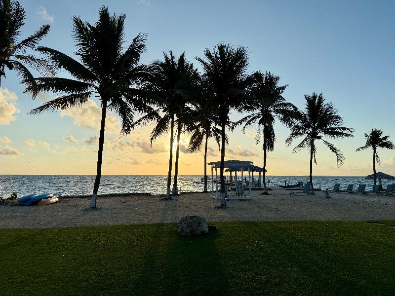 Holiday Inn Resort Grand Cayman  image