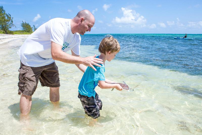 Holiday Inn Resort Grand Cayman  image