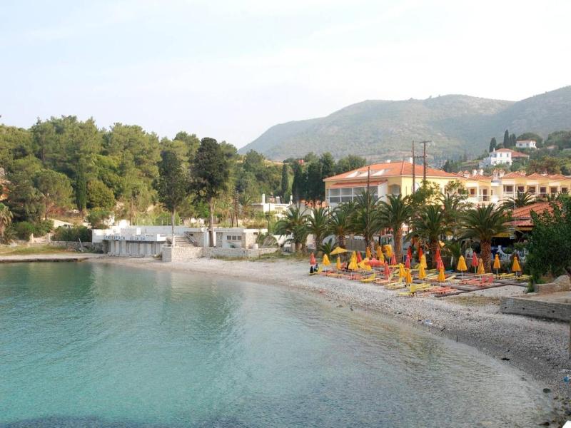 Anthemis image