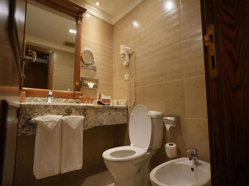 Bristol Hotel Amman image