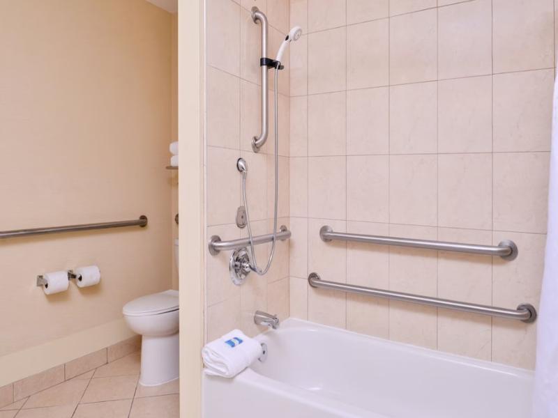 Holiday Inn Express Tampa North image
