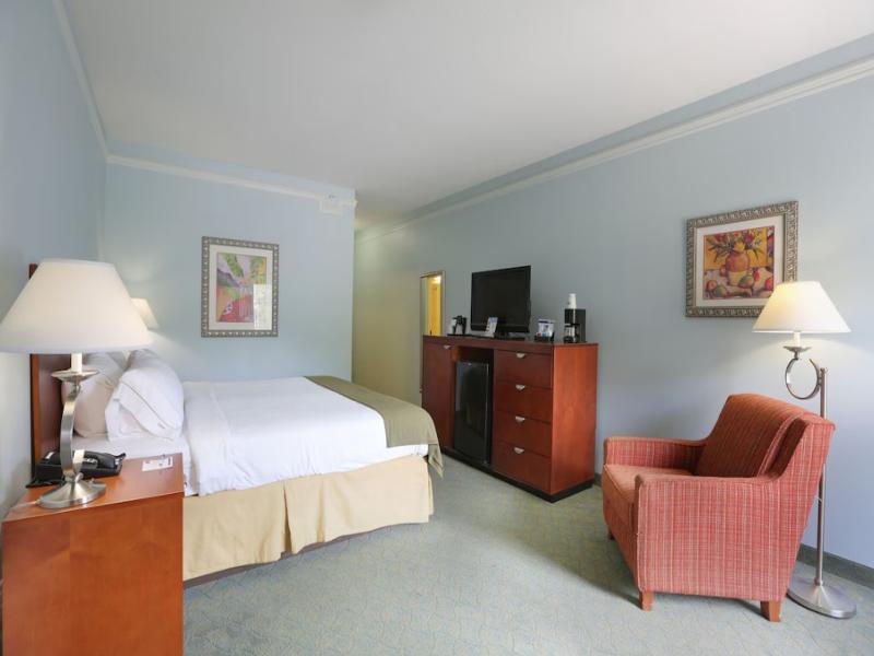 Holiday Inn Express Tampa North image
