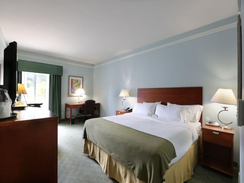 Holiday Inn Express Tampa North image