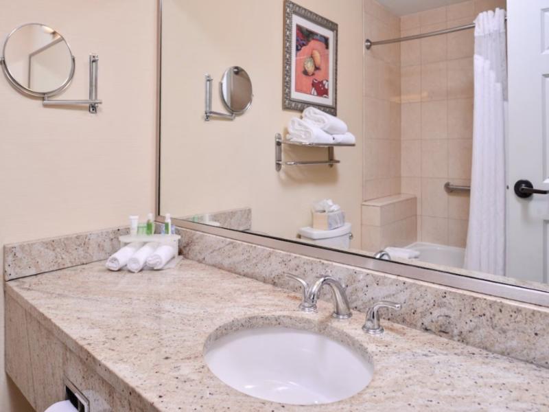 Holiday Inn Express Tampa North image