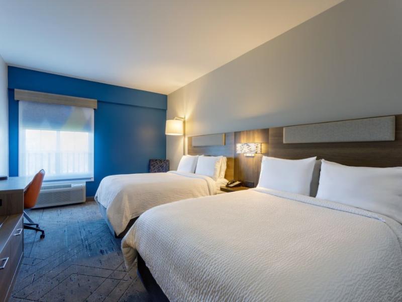 Holiday Inn Express Tampa North image