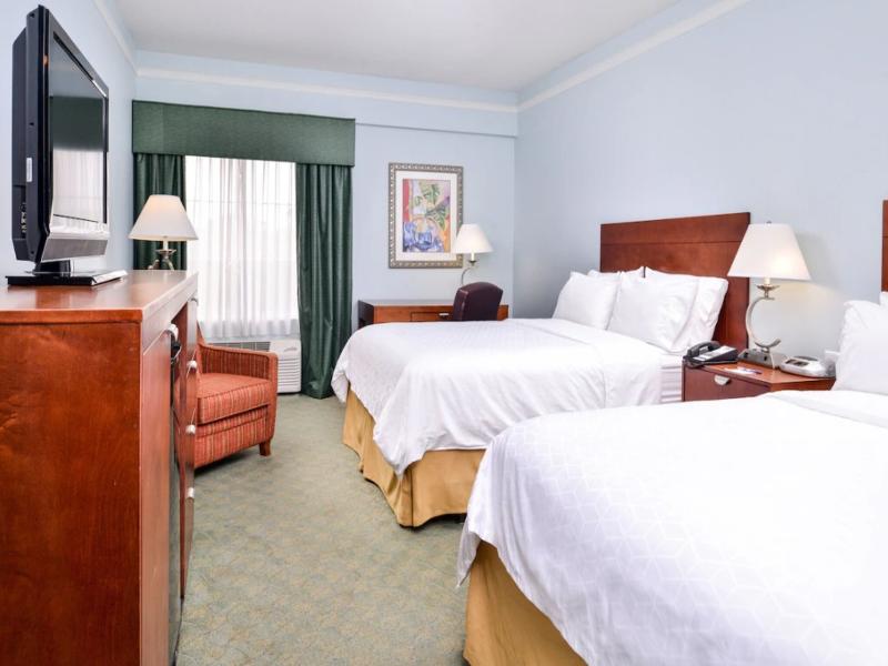 Holiday Inn Express Tampa North image