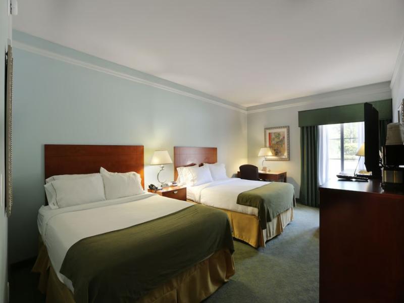 Holiday Inn Express Tampa North image