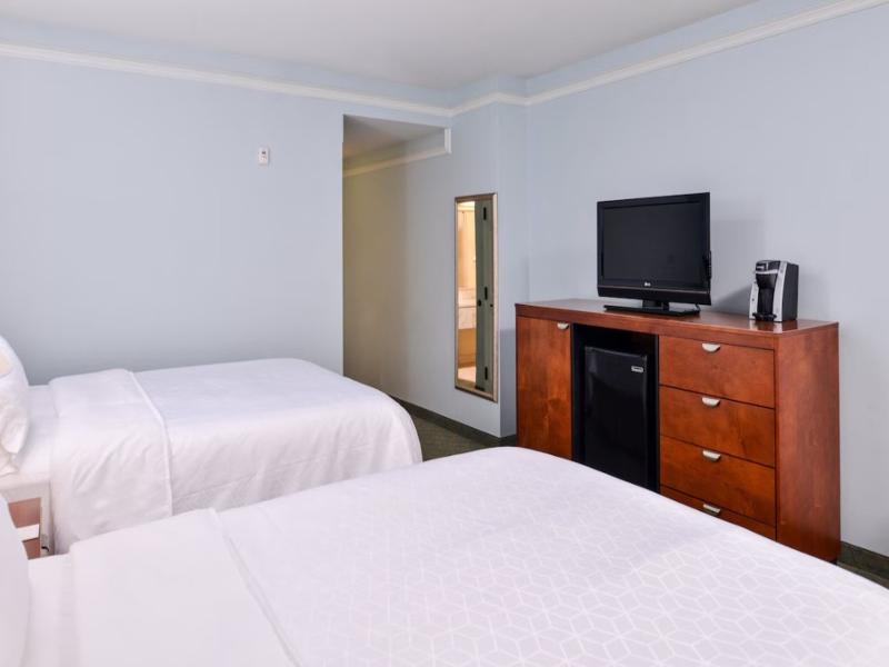 Holiday Inn Express Tampa North image