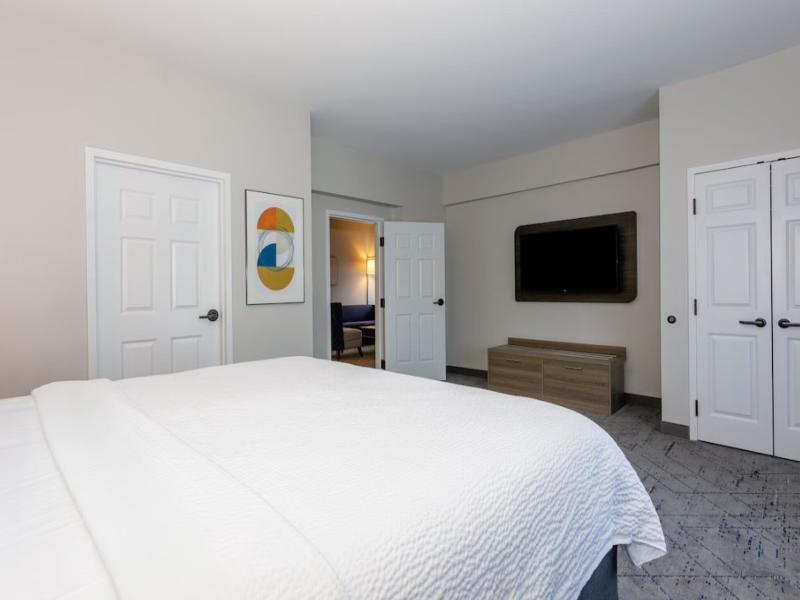 Holiday Inn Express Tampa North image