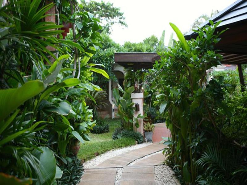 Samui Jasmine image