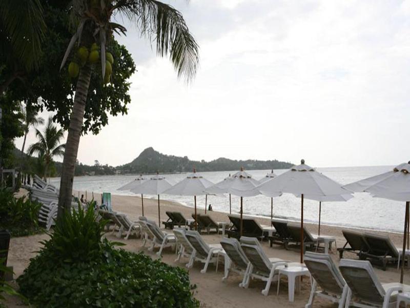 Samui Jasmine image