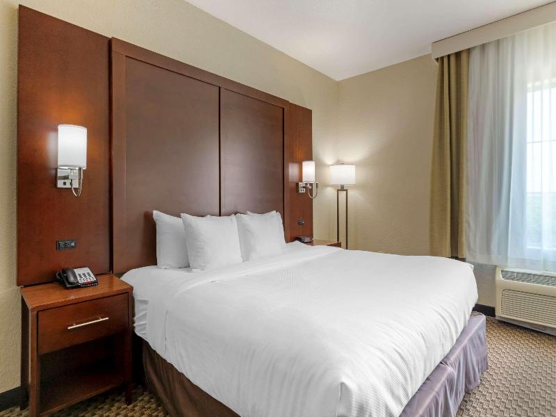 Comfort Inn & Suites Near Six Flags&Medical Center image