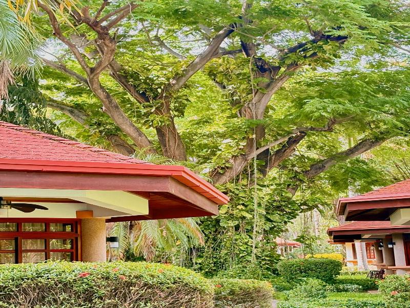 Villa Acacia image