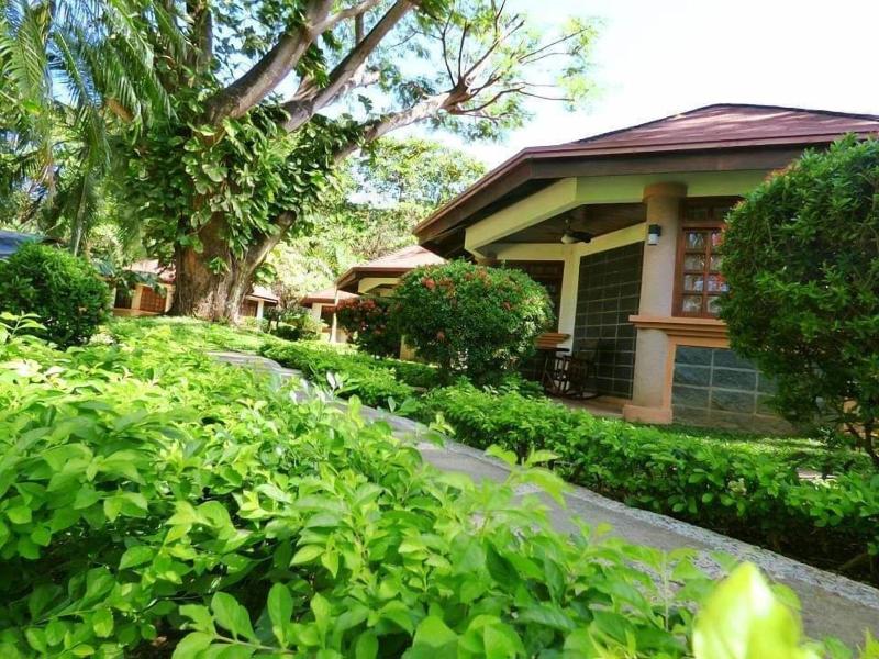 Villa Acacia image