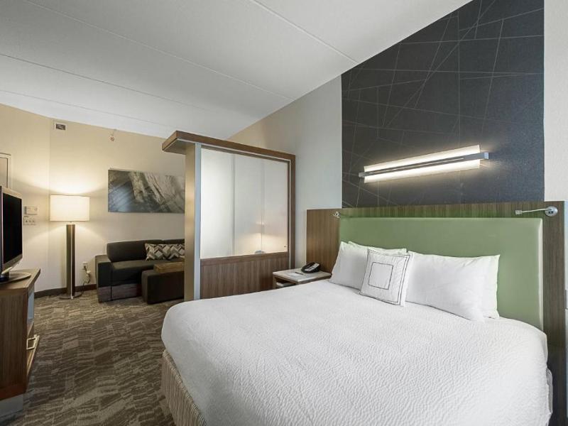 SpringHill Suites Tampa North/I-75 Tampa Palms image