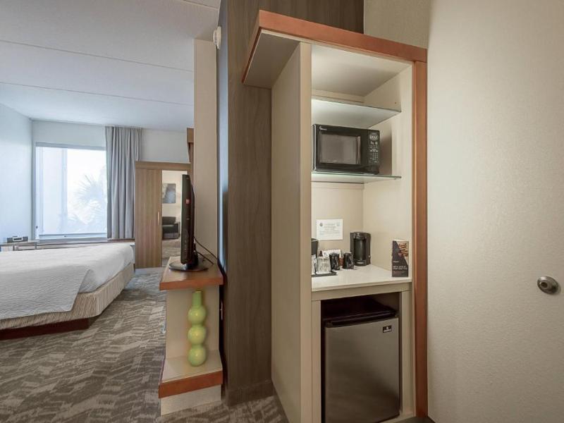SpringHill Suites Tampa North/I-75 Tampa Palms image