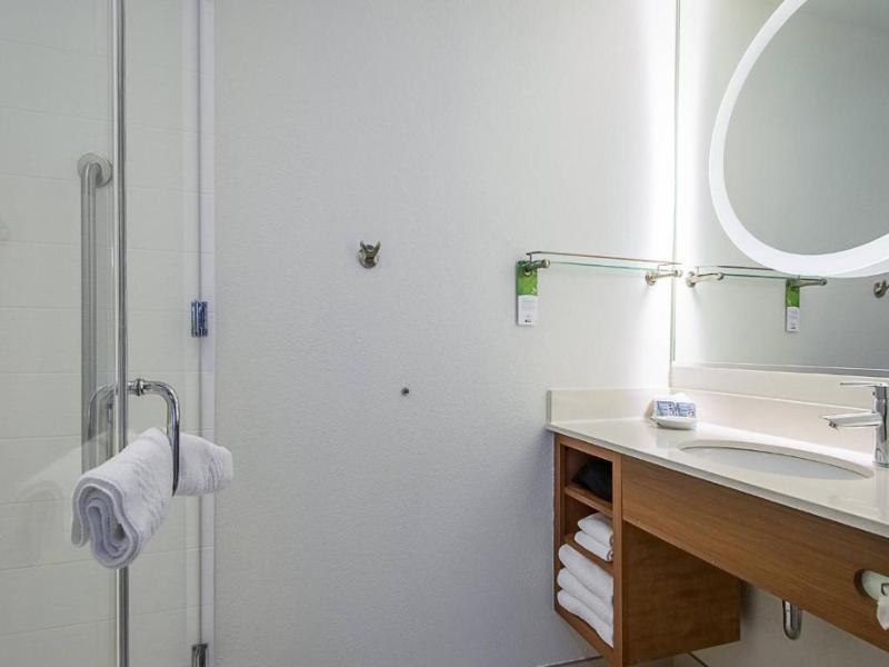 SpringHill Suites Tampa North/I-75 Tampa Palms image