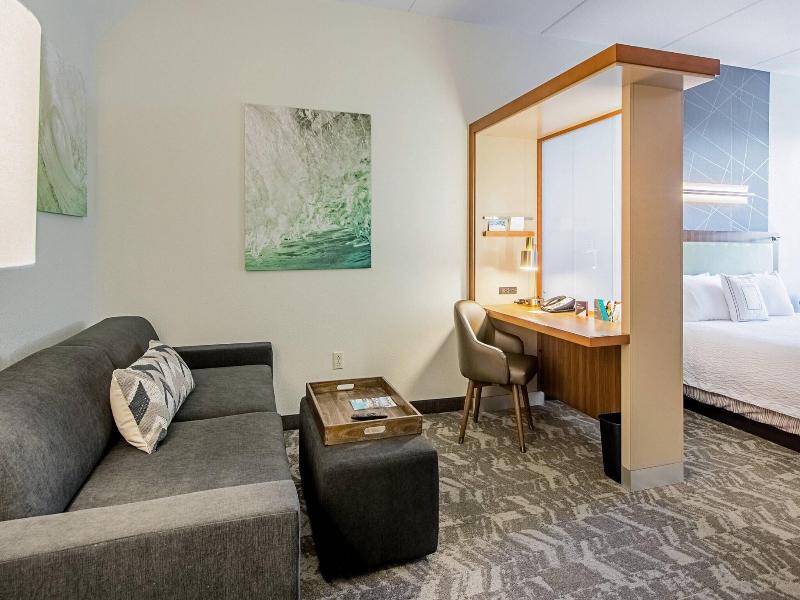 SpringHill Suites Tampa North/I-75 Tampa Palms image