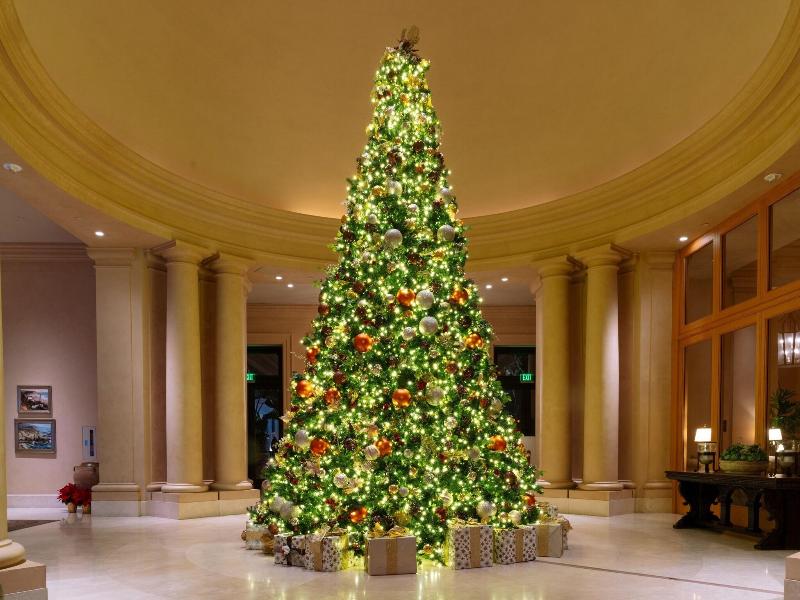 Resort at Pelican Hill image