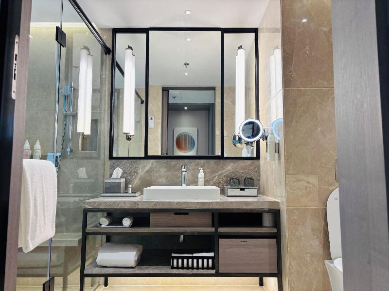 Le Méridien Ahmedabad image