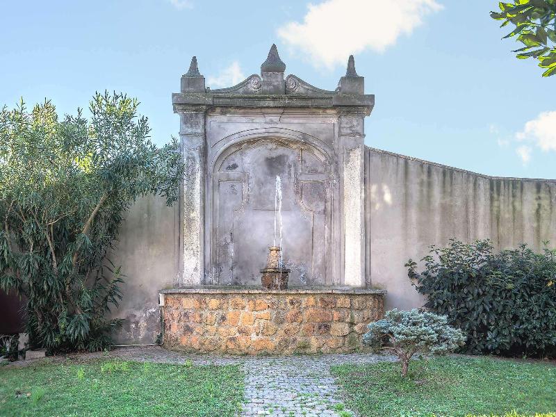 Occidental Aurelia image