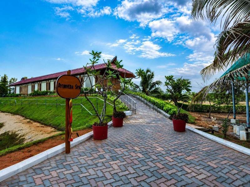 Chariot Beach Resort image