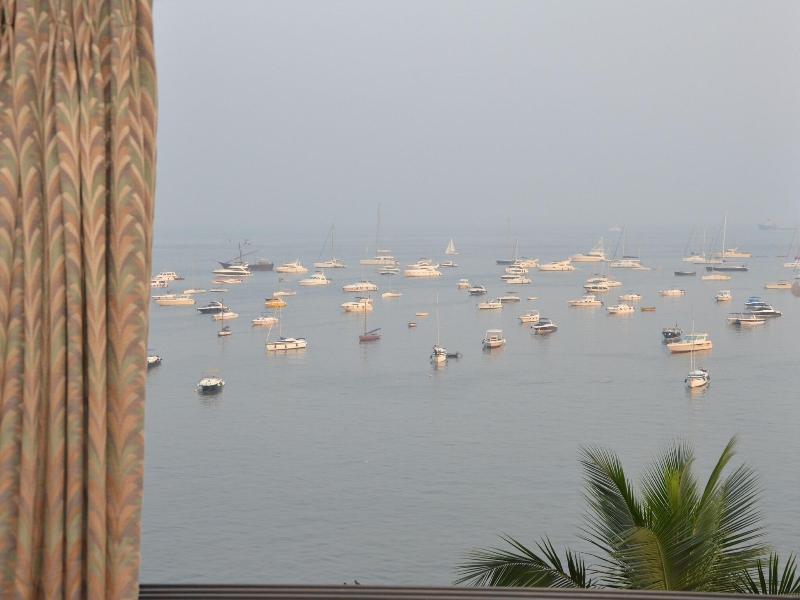 Sea Palace image