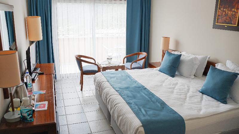 Happy Hotel image